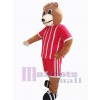 Bear mascot costume