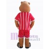 Bear mascot costume
