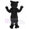 Panther mascot costume
