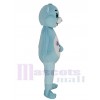 Bear mascot costume