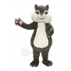 Squirrel mascot costume
