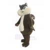 Squirrel mascot costume