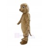 Groundhog mascot costume