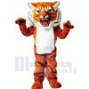 Super Tiger Mascot Costumes 