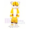 Tiger Mascot costumes 