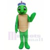 Toby Turtle Mascot Costumes 