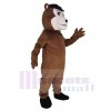 Bear mascot costume