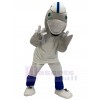 Dolphin mascot costume