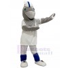 Dolphin mascot costume