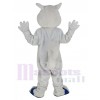 Squirrel mascot costume