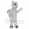 Squirrel mascot costume