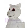 Squirrel mascot costume
