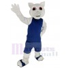 Squirrel mascot costume