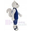 Squirrel mascot costume