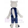 Squirrel mascot costume