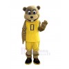 Gopher mascot costume