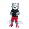 Wolf mascot costume