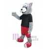 Wolf mascot costume