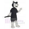 Wolf mascot costume