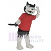 Wolf mascot costume