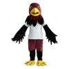 Hawk mascot costume