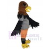 Hawk mascot costume