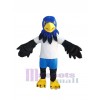 Hawk mascot costume