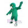 Owl mascot costume