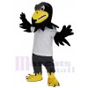 Falcon mascot costume