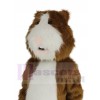 Hamster mascot costume