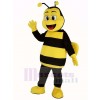 Happy Bee Mascot Costume