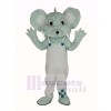 Grey Koala in White Coat Mascot Costume