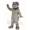 Gray Bulldog Mascot Costume