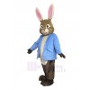 Easter Bunny Rabbit mascot costume
