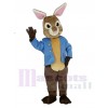 Brown and Gray Peter Rabbit Mascot Costume