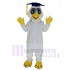 Owl mascot costume