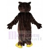 Owl mascot costume
