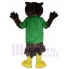 Owl mascot costume