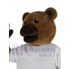 Bear mascot costume