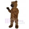 Bear mascot costume