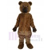 Bear mascot costume