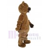 Bear mascot costume