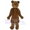 Bear mascot costume