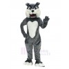 Bulldog Dog mascot costume