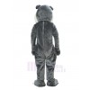 Bulldog Dog mascot costume