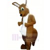 Dark Tan Kangaroo Mascot Costume Adult Costume 