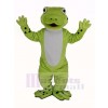 Cute Happy Frog Mascot Costume