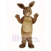 Peter Rabbit Mascot Costume