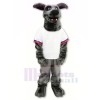 Whippet Dog in T-shirt Mascot Costumes Cartoon