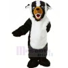 White and Black Badger Mascot Costumes Cartoon